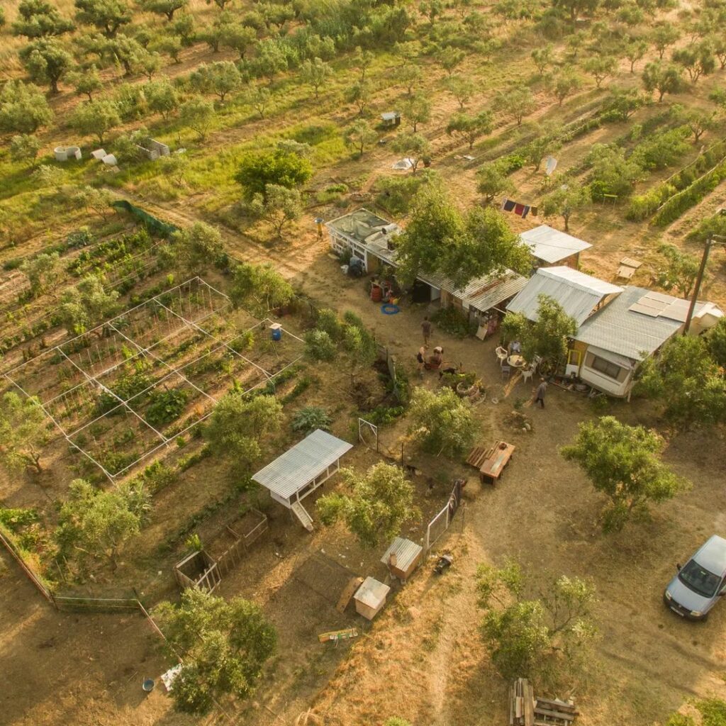 picture of the farme from the sky