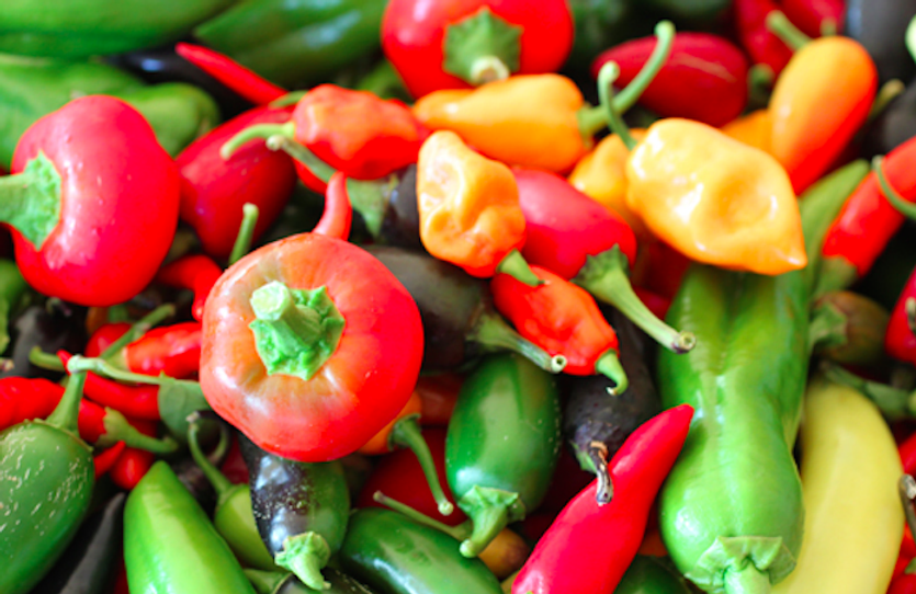 Our Lovely Peppers and how to eat them