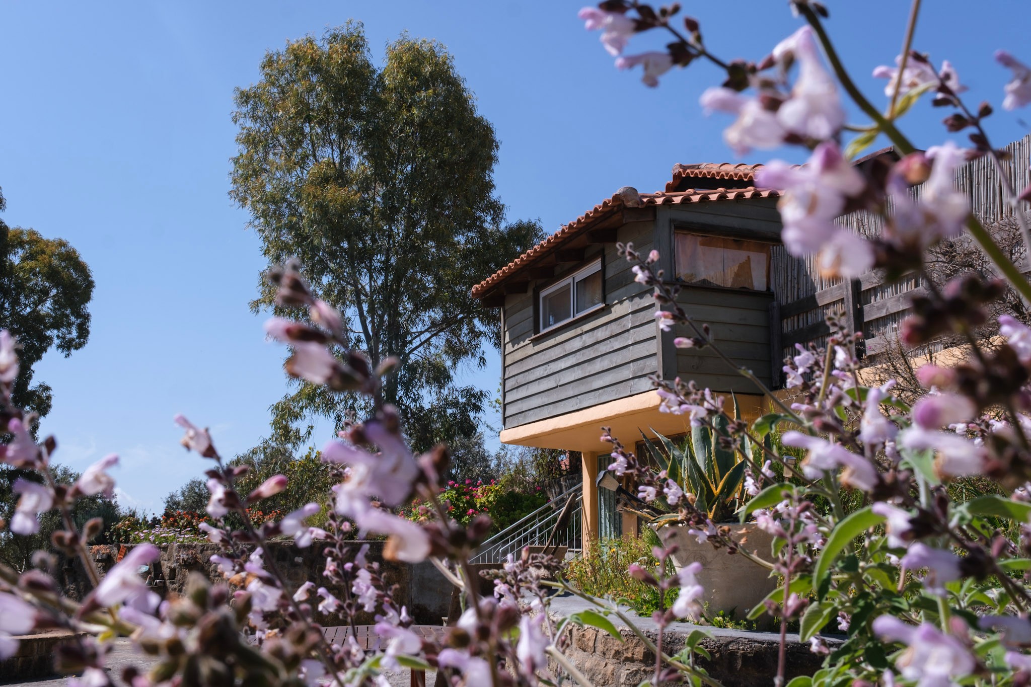 photo of the loft with flower in first plan