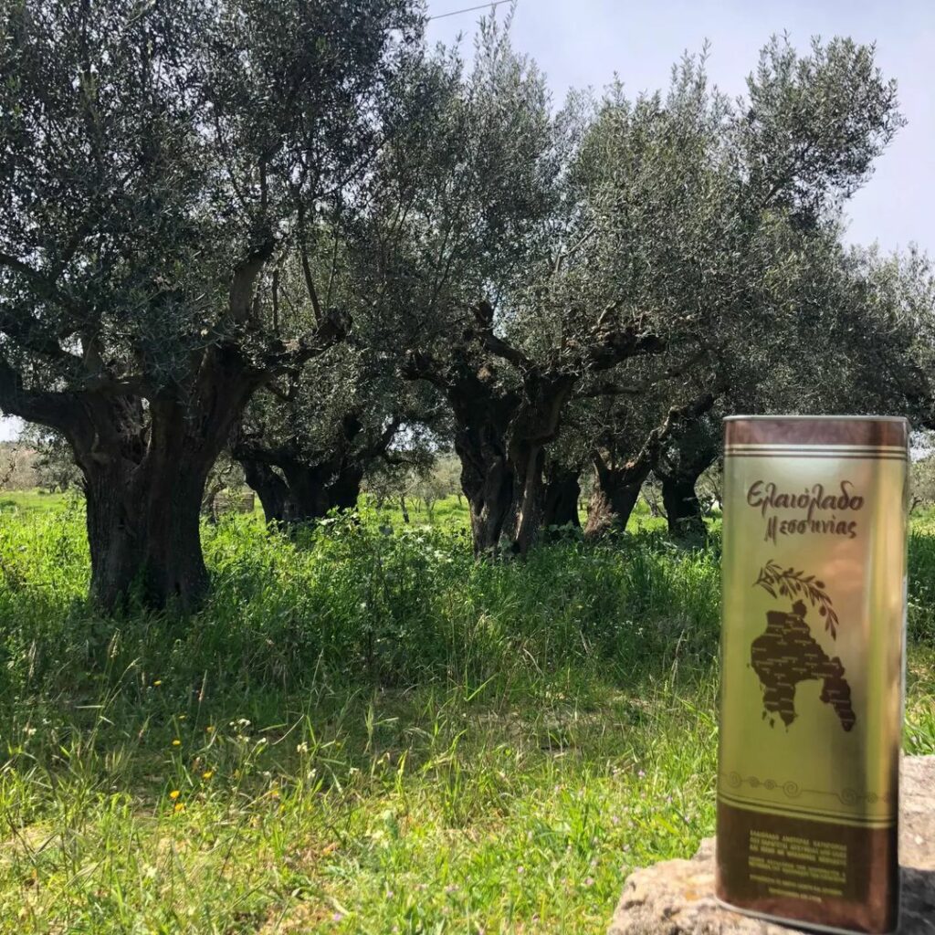 Olive Oil own Production