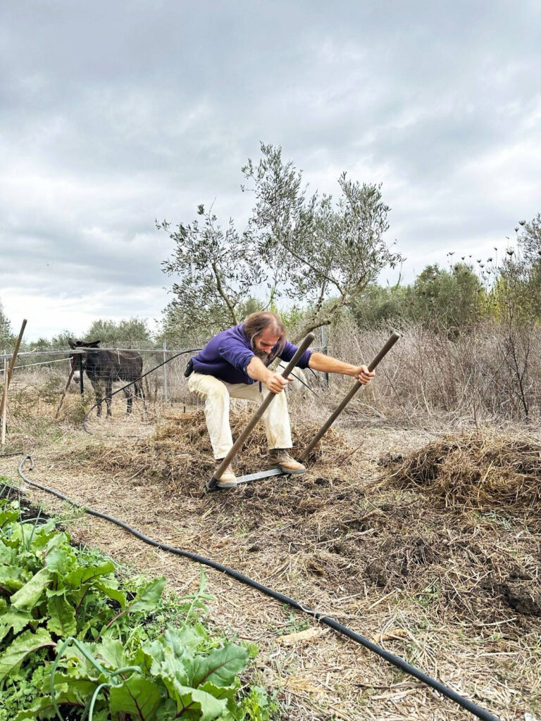 Working at the farm